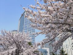 -丁家河公园
