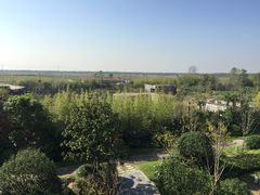 -上海崇明金茂凯悦酒店