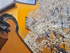 -龙华寺