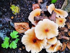 -天津东丽湖风景区