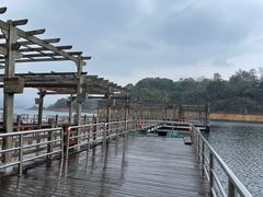 -千岛湖东南湖区