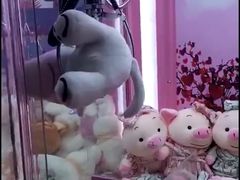 -风云再起游乐汇(皇城恒隆广场店)