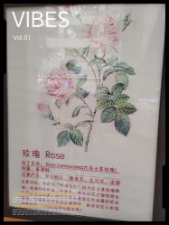 -CAMENAE嘉媚乐