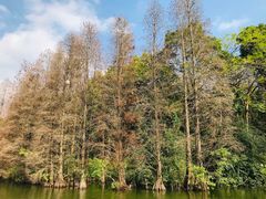 -星湖旅游景区七星岩