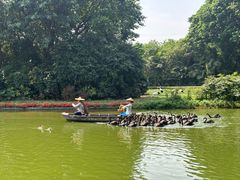 -广州长隆飞鸟乐园