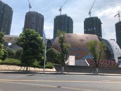 -重庆国际马戏城