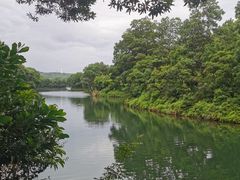 -红花湖景区