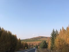 -塞罕坝国家级自然保护区