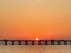 -宝安西湾红树林湿地公园