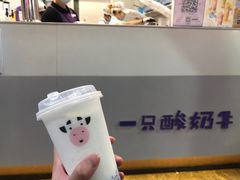 -一只酸奶牛(八一路店)