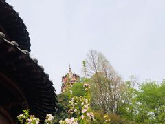 -宝通禅寺