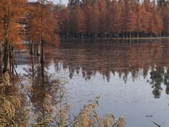 -白鹭湾湿地公园