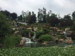 -秀丽东方