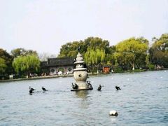 -西湖外事游船(花港观鱼码头)