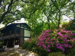 -中国茶叶博物馆(双峰馆区)