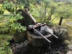 -西芳寺(苔寺)