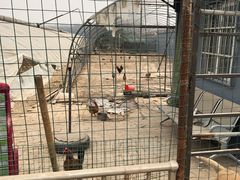 -田趣农庄草莓采摘园