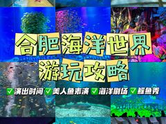 -合肥海洋世界