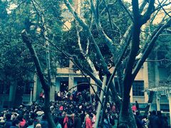 -南京中国近代史遗址博物馆(南京总统府)