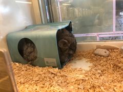 -龙猫仔乐园(惠福东路店)