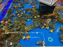 -盒马鲜生(龙德广场店)