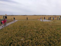 -红海滩国家风景廊道