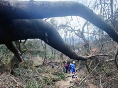-岳麓山风景名胜区