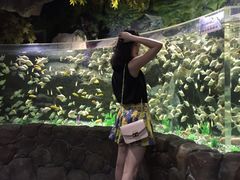 -多彩贵州城极地海洋世界