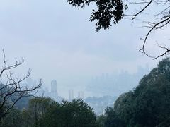 -南山植物园