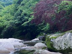 -光雾山旅游景区