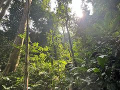 -中国科学院西双版纳热带植物园