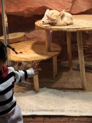 -Zoolung Zoolung动物主题公园(海信广场店)