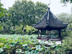 -上海醉白池公园
