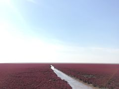 -红海滩国家风景廊道