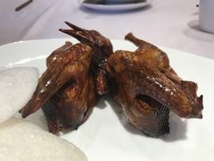 -丰鲤楼•闽南茶楼(仟禧汇店)
