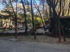 -森林公园(尖草坪区)