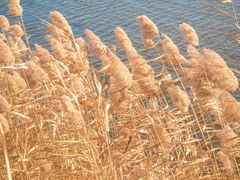 -野鸭湖国家湿地公园