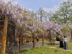 -隆兴寺