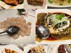-苏浙汇(朝外店)