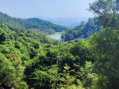 -广州白江湖森林公园