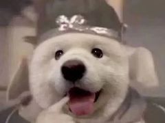 -壹阁胡羊焖饼(特色小吃街店)