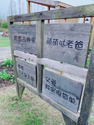 -前小桔亲子创意农场·草莓采摘·露营烧烤