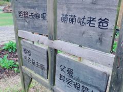 -前小桔亲子创意农场·草莓采摘·露营烧烤