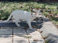 -东华大学(松江校区)