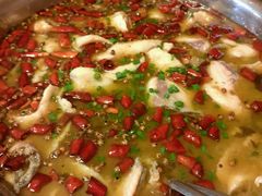 酸菜鱼-陈有良尖椒鸡(渝中示范店)