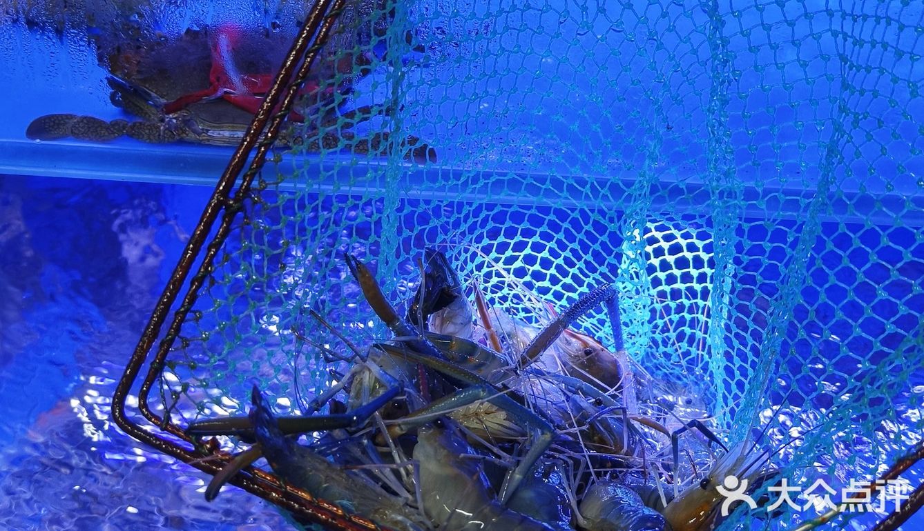 新店|北京路必吃食科圣手之称的🇭🇰大排档