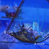 新店|北京路必吃食科圣手之称的🇭🇰大排档