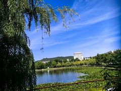 -山东大学(威海校区)