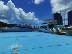 -小猫钓鱼海钓俱乐部(椰梦长廊店)