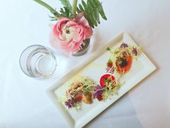 -蝶舍·MAISON PAPILLON